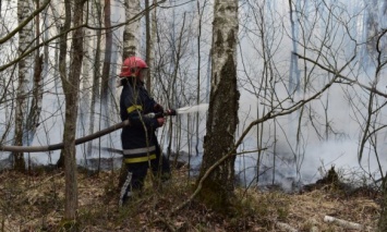 В Житомирской области локализовали пожары в Овручском и Олевском районах