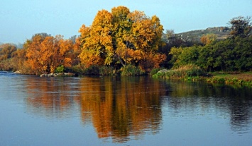 Десятку замечательных деревьев выбрали в Николаевской области (фото)