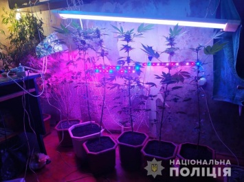 Полиция нашла и закрыла наркопритон в пятиэтажке на Поселке Котовского