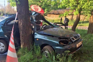 В Кривом Роге после столкновения с деревом погиб водитель легковушки