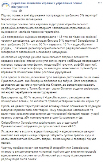 В Чернобыльском заповеднике рассказали, сколько территории сгорело и какие животные пострадали больше всего