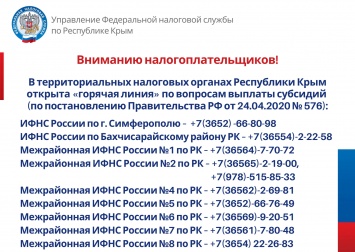 Налоговая с 1 мая начинает принимать заявления от организаций и ИП на субсидии