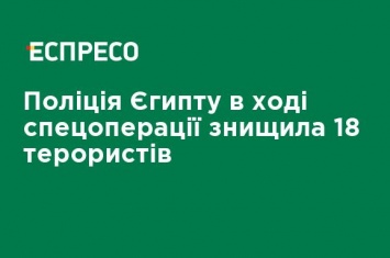 Полиция Египта в ходе спецоперации уничтожил 18 террористов