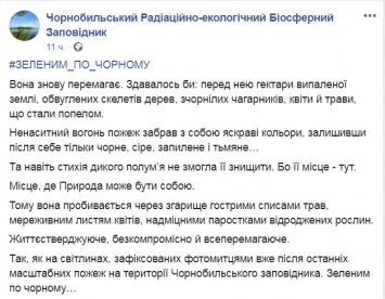 Зеленым по черному. В зоне отчуждения Чернобыльской АЭС на пепелищах пробивается трава