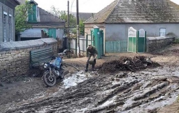 На Одесчине буря вырвала деревья с корнями