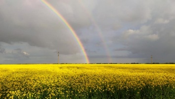В Запорожской области небо украсила двойная радуга