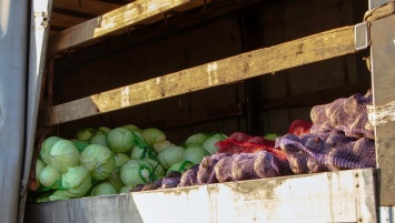 В Днепр из Магдалиновского района привезли почти 20 тонн овощей