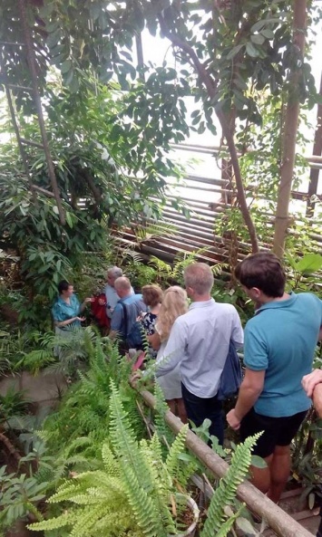 В этом году ботанический сад ДНУ отметит 90-летний юбилей