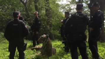 Полиция с оружием и вертолетом "поймала" скульптуру тигра