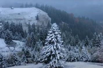 Природа сошла с ума: украинские Карпаты засыпало снегом - невероятные кадры