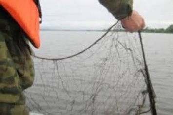 Пойманным на Азовском море браконьерам возвращают сети
