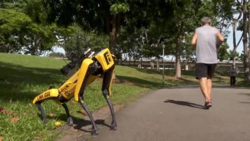 Робот Spot от Boston Dynamics начнет патрулировать парки Сингапура