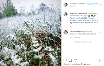 В Латвии, Литве, Польше и Беларуси 12 мая выпало до 10 см снега. Фото и видео