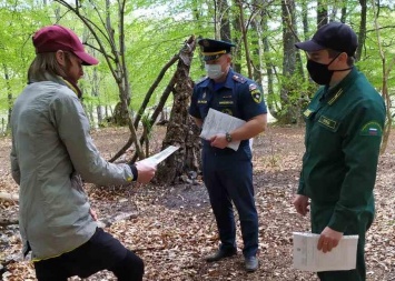 На майских праздниках крымчан 119 раз ловили в лесах в нарушение режима