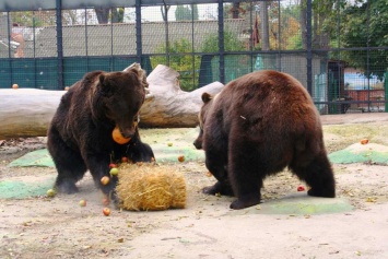 В Одессе завтра откроется зоопарк после карантина