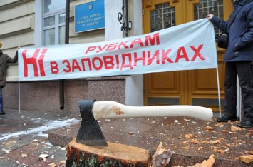 В Гослесагентстве назвали реальный объем незаконных рубок лесов в Украине