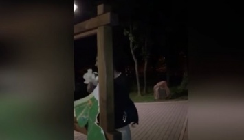 В Киеве дерзкие подростки устроили переполох в парке отдыха: есть видео