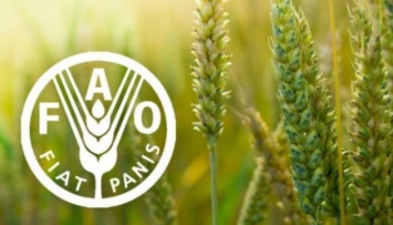 FAO готова и дальше оказывать поддержку украинскому правительству