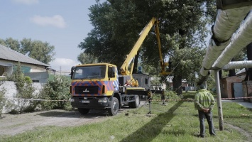 В Днепре удаляют аварийные деревья