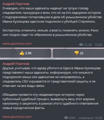 Семья человека, которого убил Стерненко, не получала подозрений - Портнов