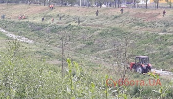 В Ландшафтном парке Запорожья появилась техника и десятки работников (ФОТО, ВИДЕО)