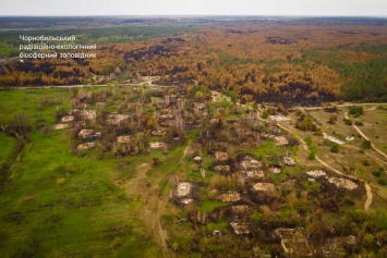 Украинцам показали фото лесов зоны отчуждения под Чернобылем после пожара