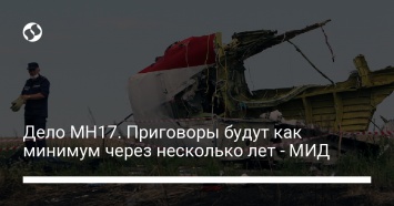 Дело MH17. Приговоры будут как минимум через несколько лет - МИД