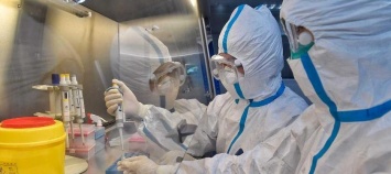 Более 120 стран поддержали проведение расследования причин пандемии