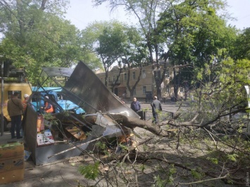 Ветка рухнула на обовощной ларек и порвала провода электротранспорта в центре Одессы