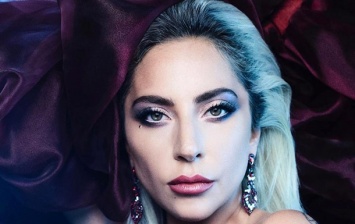 Леди Гага взбудоражила сеть пикантным фото