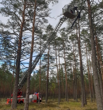 Парализовавший работу латвийских аэропортов беспилотник наконец-то был найден