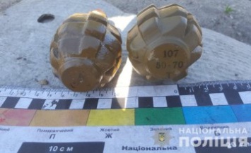В Новомосковске мужчина продавал боевые гранаты (ФОТО)