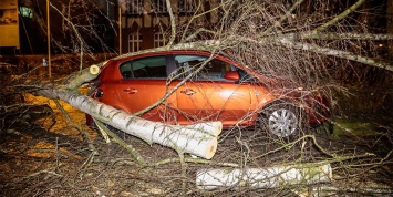 Сильный ветер повредил 20 автомобилей в Москве