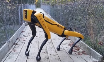 Робопес Spot от Boston Dynamics в новом видео гуляет по садам, пасет овец и валяется на травке