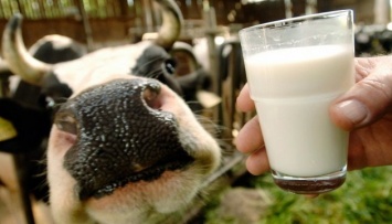 Цены на молоко снова снизились - эксперты