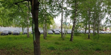 Обнаруженные в лесу Toyota Camry отправят на борьбу с COVID-19
