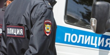 В Совфеде предлагают разрешить полиции принимать заявления онлайн