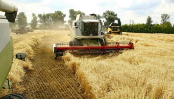 Эксперты прогнозируют, что через пять лет Украина будет собирать 113 миллионов тонн зерна