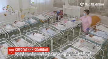 Дети для иностранцев: число младенцев от суррогатных матерей в столичном отеле возросло (видео)