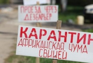 Какие еще села из-за чумы в Орлово пострадали