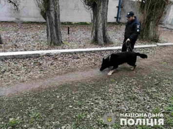 С собаками: под Днепром всю ночь искали 7-летнего мальчика