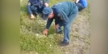 МЧС проверит видео с пожарными, стригущими траву маникюрными ножницами