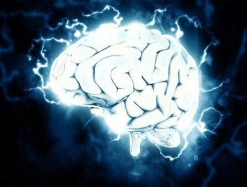 Ученые нашли фермент, сохраняющий молодость мозга