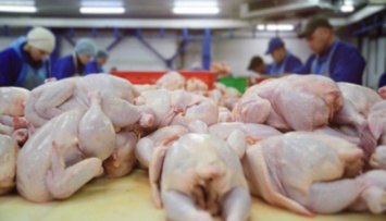 Украина будет подстраховывать мировой рынок поставками мяса - Косюк