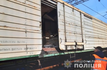 В Акимовке полицейские поймали злоумышленника, который срывал металл из грузовых вагонов