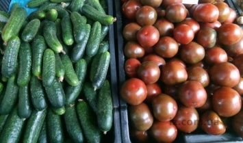 В Запорожской области не допустили в продажу почти тонну нитратных овощей
