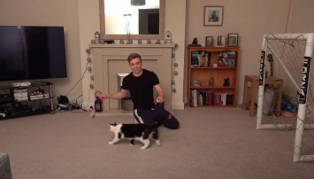 Популярный в сети ролик с котом-вратарем оказался фейком: блогер раскрыл секрет (видео)