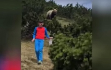 В Италии ребенок спокойно ушел от дикого медведя (Видео)