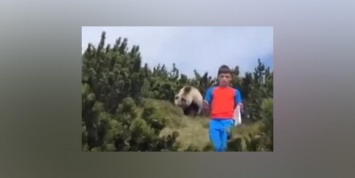 В Италии родители засняли, как 12-летний сын уходит от медведя
