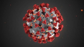 Украинский феномен коронавируса - он атакует... отечественные противовирусные препараты